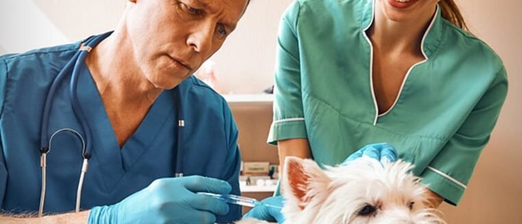 img-postgrid1 img-postgrid1