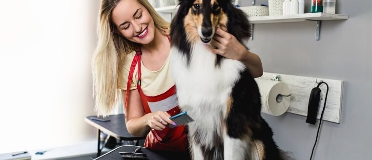 img-postgrid2 img-postgrid2